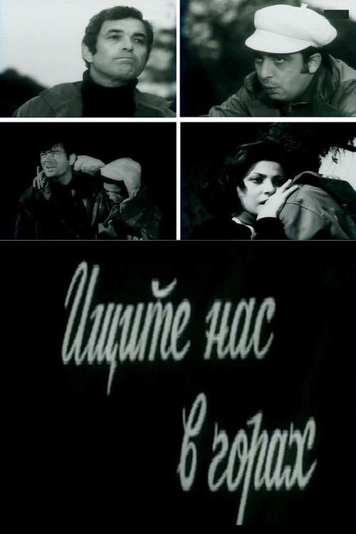 Find Us in the Mountains poster