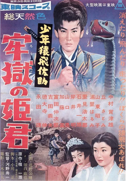 少年猿飛佐助 牢獄の姫君 poster