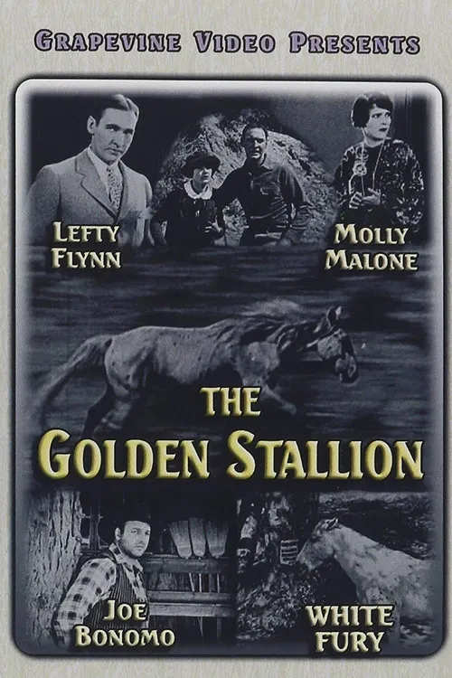 The Golden Stallion poster