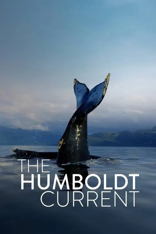 The Humboldt Current poster