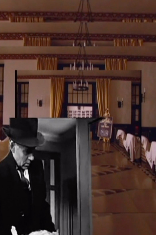 Overlength Hotel poster