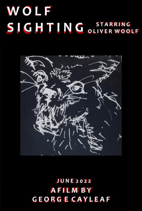 Wolf Sighting poster