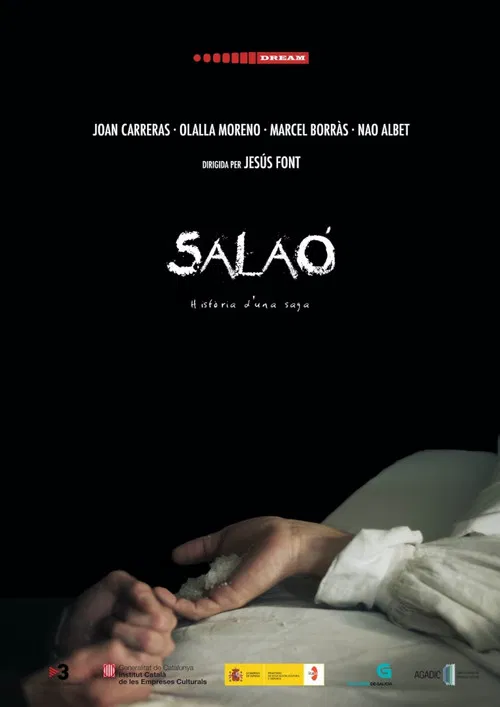 Salaó poster