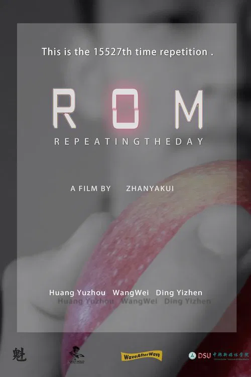 ROM poster