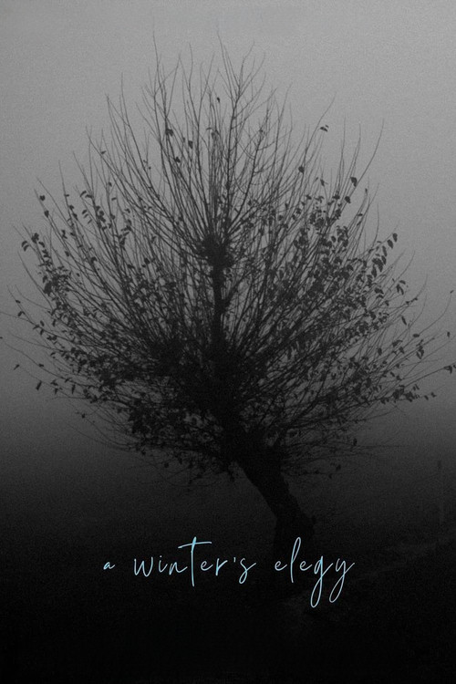 A Winter’s Elegy poster
