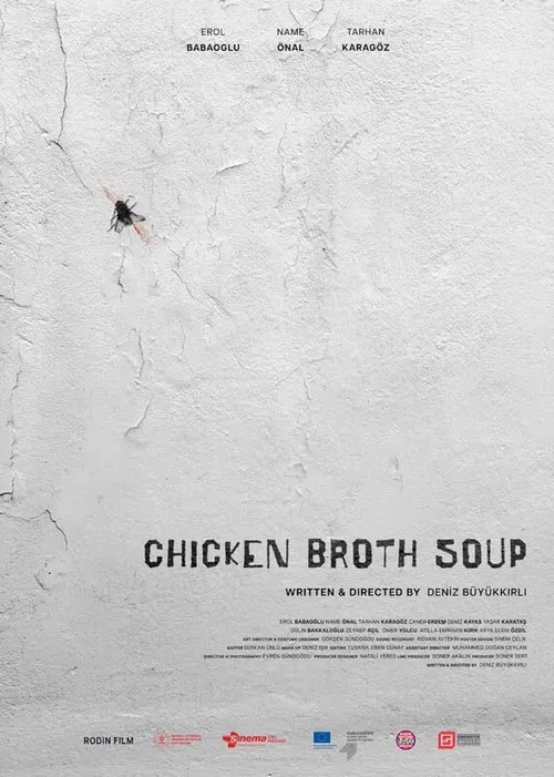 Chicken Broth Soup poster