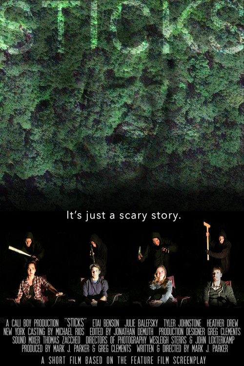 Sticks poster