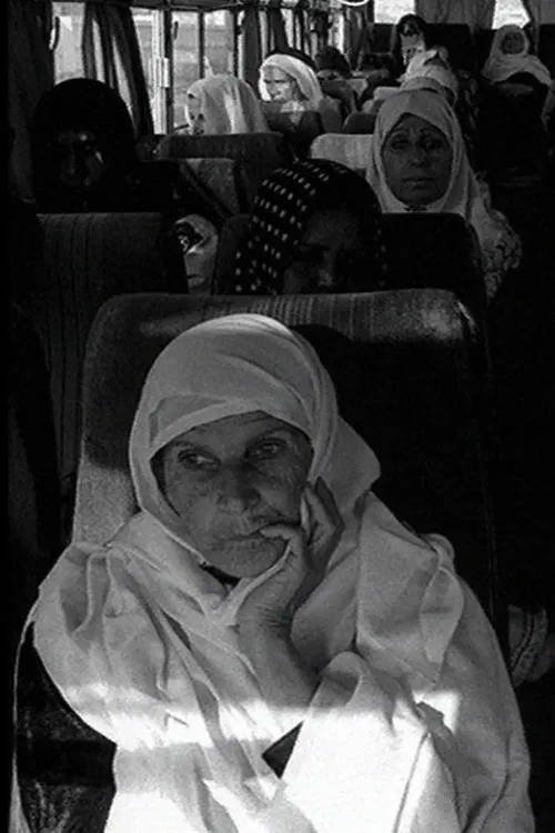 Visiting Hours poster