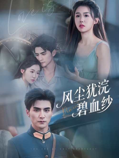 风尘犹浣碧血纱 poster