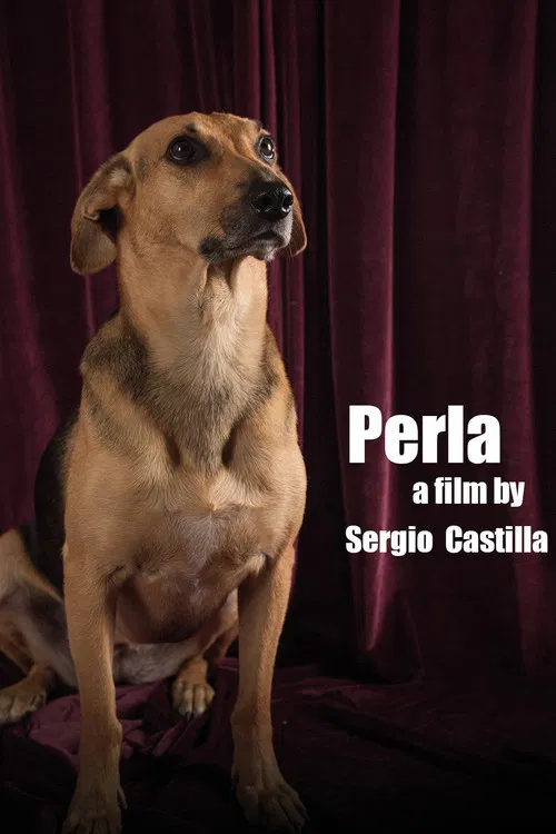 Perla poster