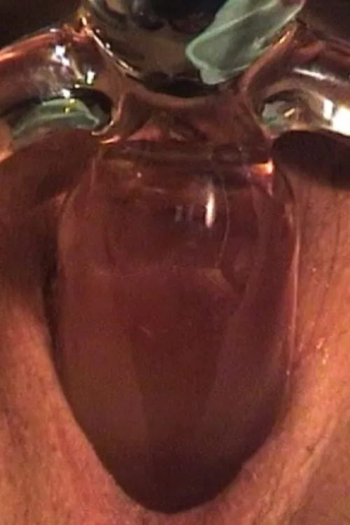 Les Scieurs (Jouir malgré tout, opus 2) poster