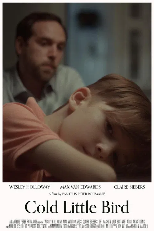 Cold Little Bird poster