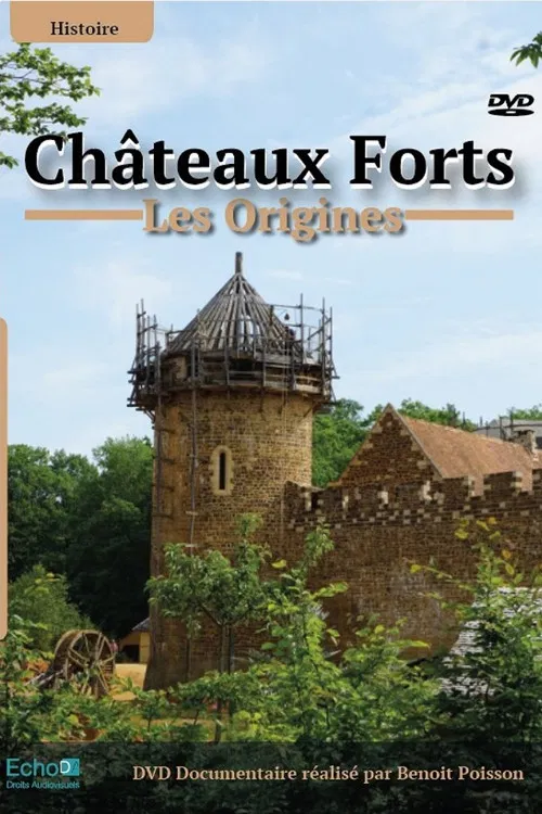 Châteaux-forts : Les origines poster