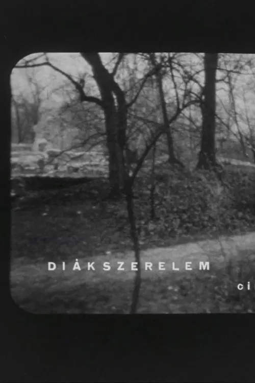 Diákszerelem poster