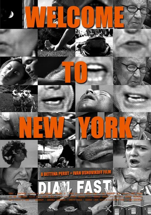Welcome to New York poster