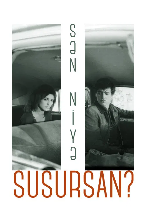 Why do You Remain Silent? poster