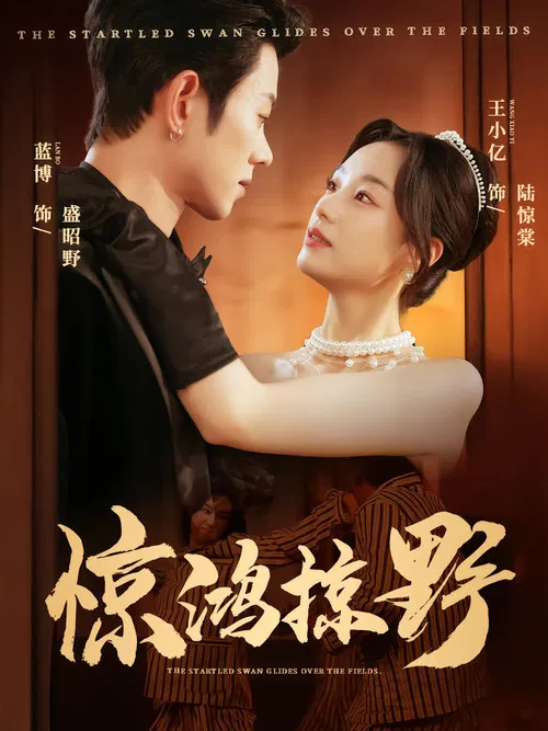 Wild Grace Unleashed poster