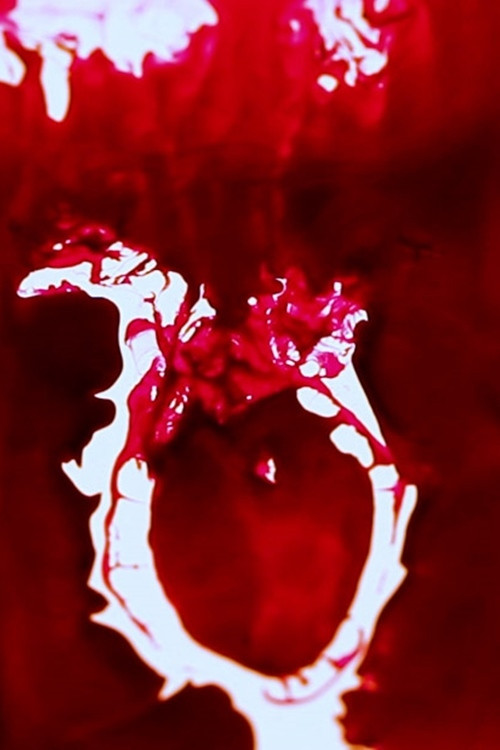 How Did We Get Here? poster