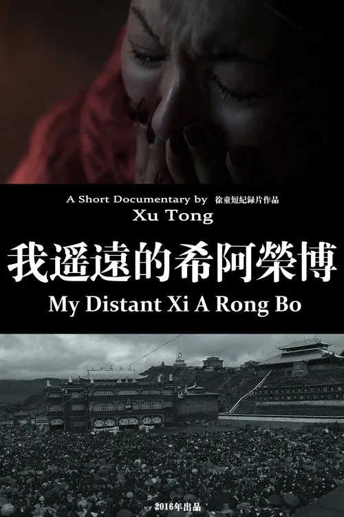 My Distant Xi A Rong Bo poster