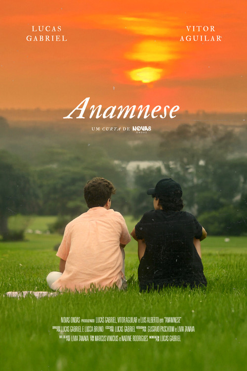 Anamnese poster