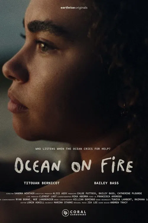 Ocean on Fire poster