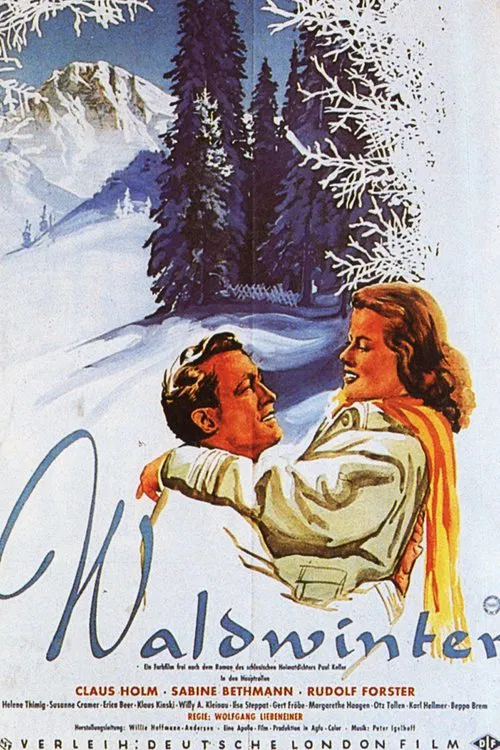 Waldwinter poster