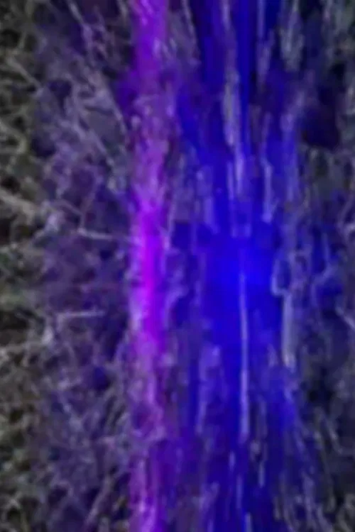 Altaïr Akerman poster