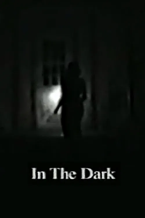 In the Dark poster