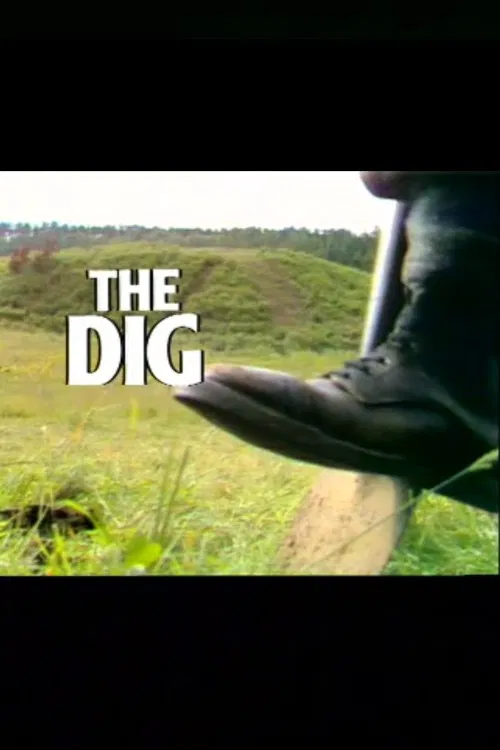 The Dig poster