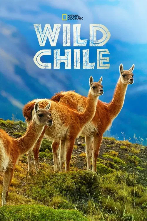 Wild Chile poster