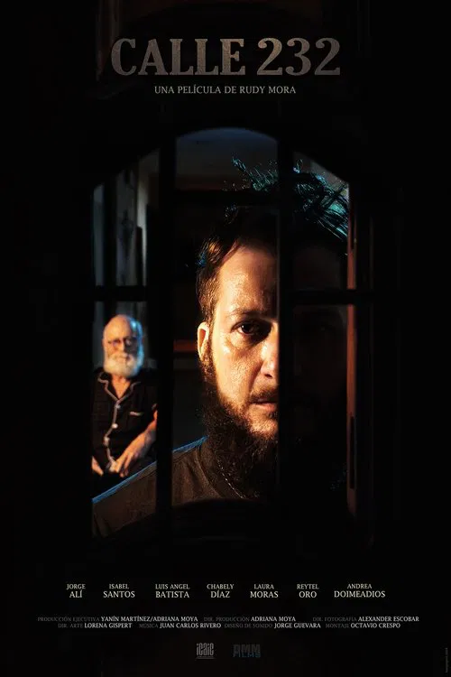 Calle 232 poster