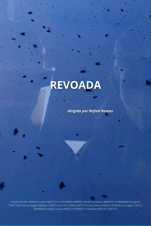 Revoada poster