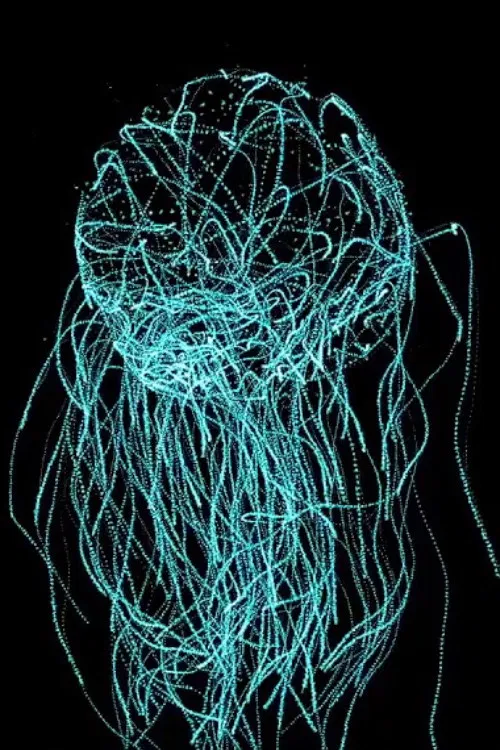 Queering Di Teknolojik poster