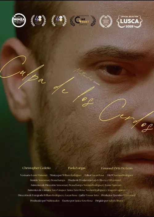 Blame it to the Pigs poster