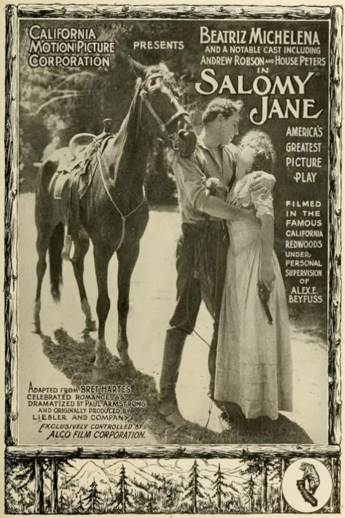 Salomy Jane poster