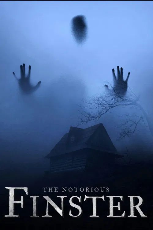 The Notorious Finster poster