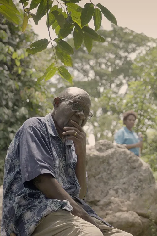 Dreaming Serenada poster