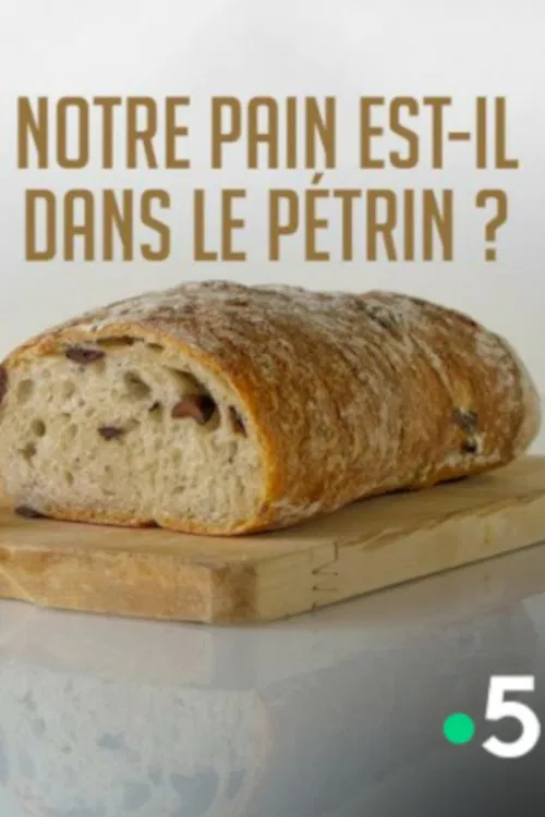 Notre pain est-il dans le pétrin ? poster