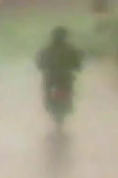 Effetto Puglia poster