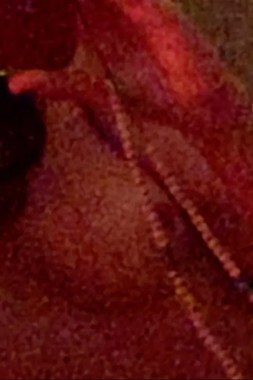 I Give My Heart a Medal for Letting Go of You poster