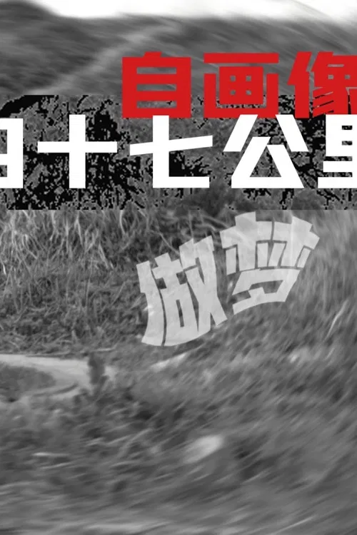 Self-Portrait: Dreaming at 47 KM poster