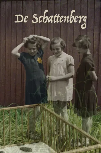 Treasure Mountain poster