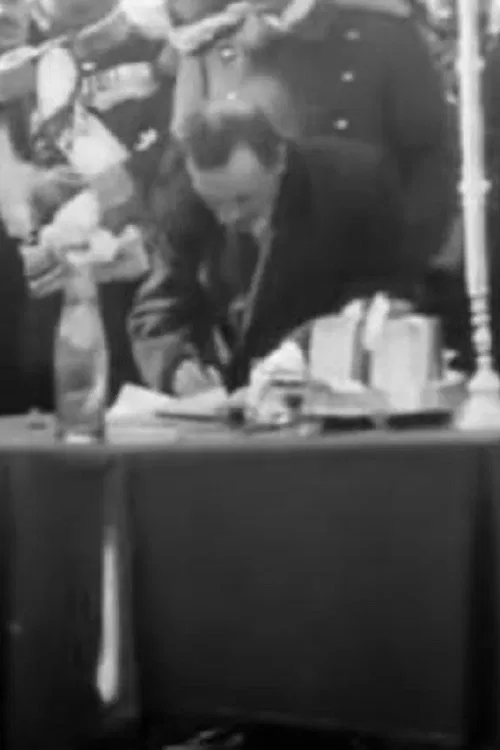 Alexander Karadjordjevic Visiting Bitola poster