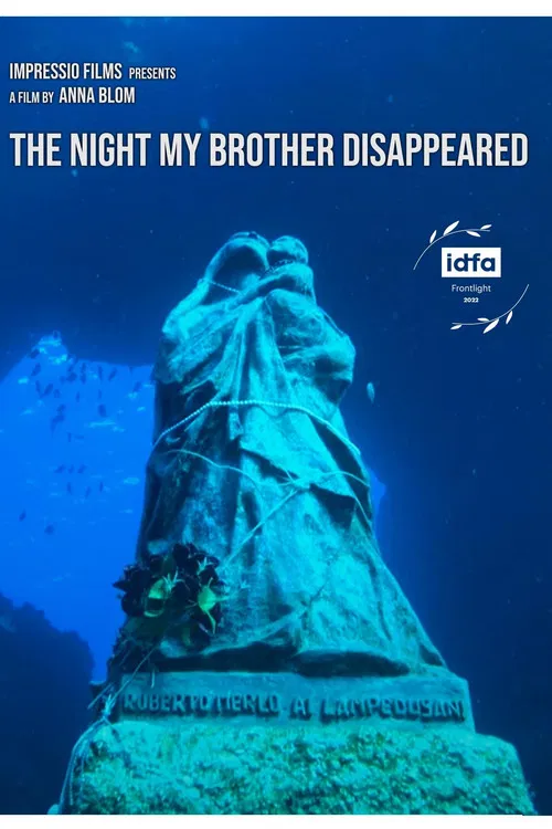 The Night My Brother Disappeared poster