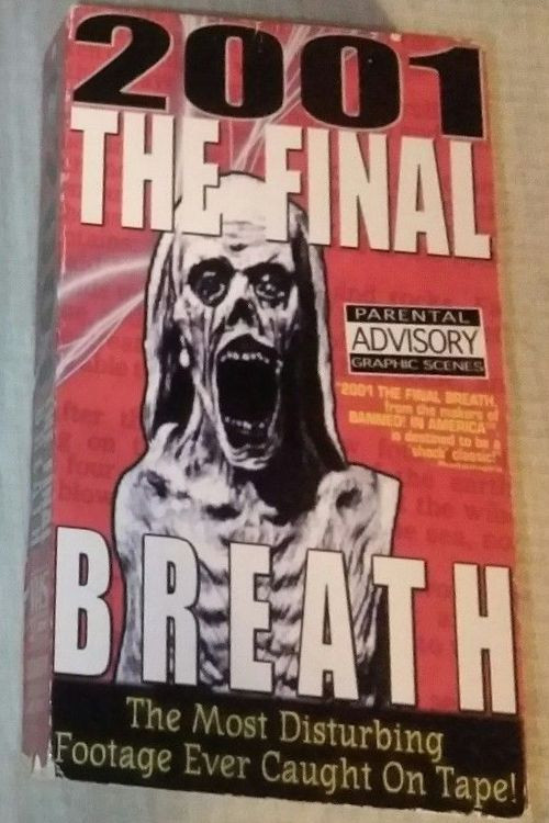 2001: The Final Breath poster