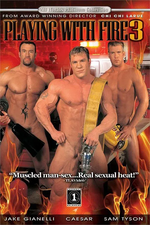 Playing with Fire 3 poster