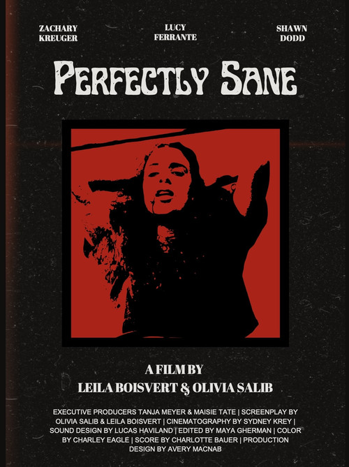 Perfectly Sane poster