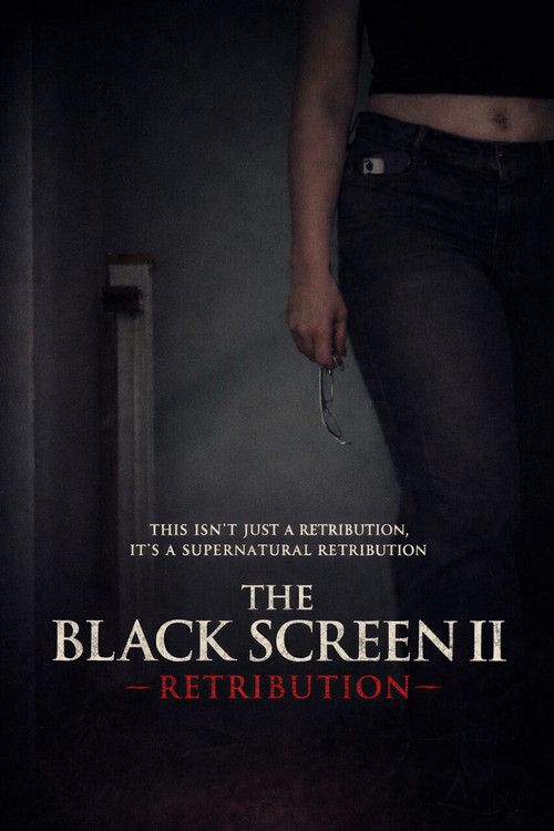 The Black Screen II - Retribution poster