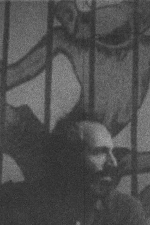 A Subhistory of Film poster