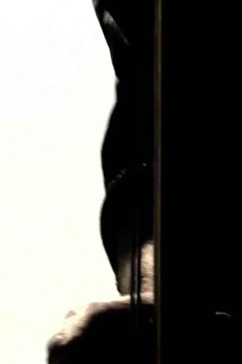 Temporary Slaraffenland poster